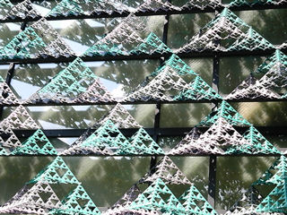 http://www.y2003.phys.waseda.ac.jp/Sierpinski/Osaka/110913_130536-1.jpg